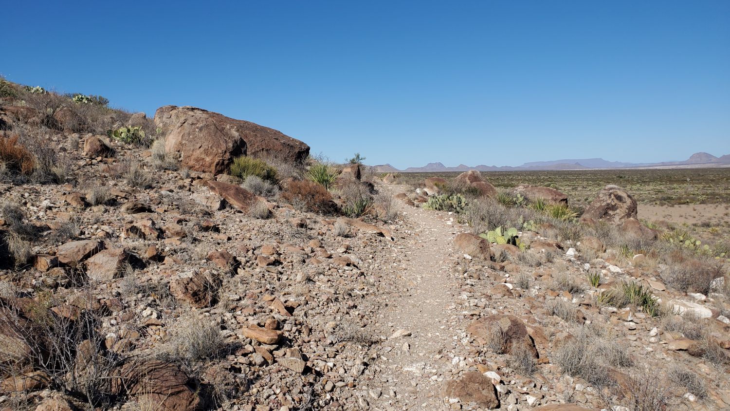 Lone Mountain Hike 